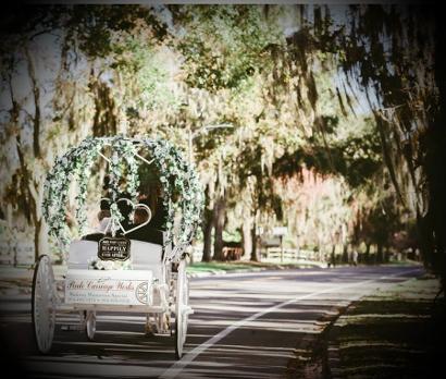 A lovely Cinderella carriage ride beneath the trees in Gainesville, FL.