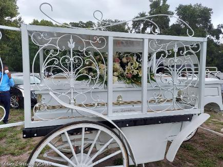 Our horse-drawn hearse carriage with one of our passengers. This detail view is meant to show beauty. This was a funeral in Jacksonville, FL.