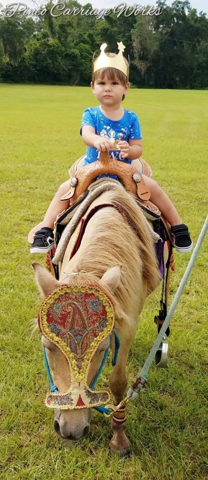 A little prince riding our knight pony in Lake City, FL during a birthday party pony ride.