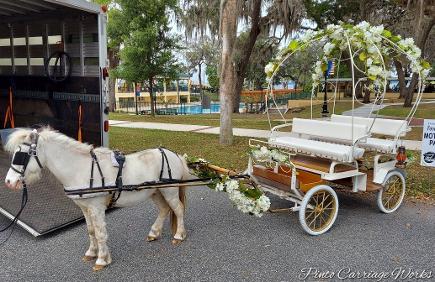 Our mini Cinderella carriage is perfect for a little ride.