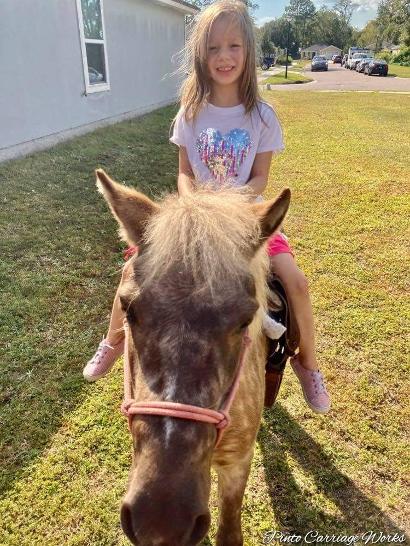 Here's our pony Mocha doing a pony ride at a birthday party in Jacksonville, FL.
