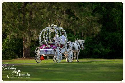 Fairytale Cinderella carriage wedding in Gainesville, FL