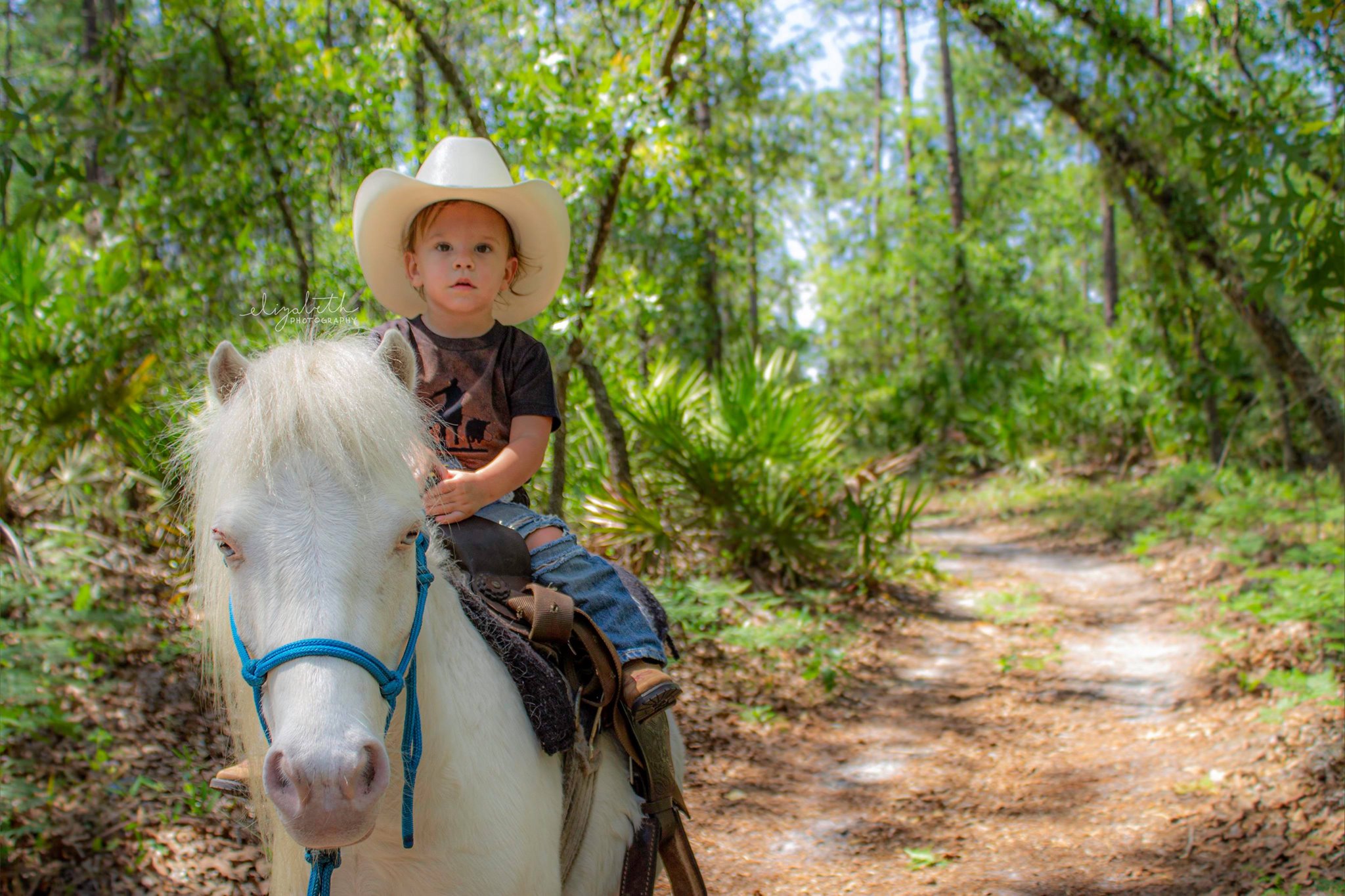 Hero is an adorable miniature horse. He's sweet and likes making kids happy for photoshoots in Jacksonville, FL.