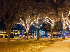 Our holiday light carriage tours