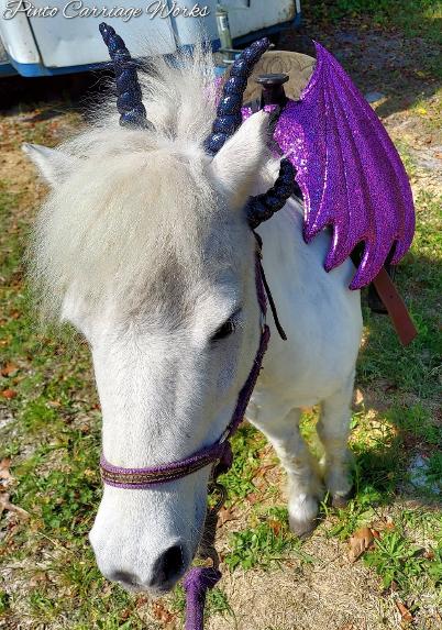 Smokey makes a cute dragon pony and is ready to give a dragon pony ride.