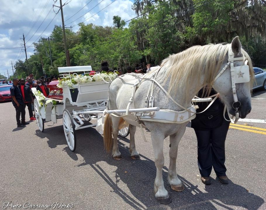 Here family and friends are sending their love to the deceased as our pretty white horse named Joy wait with our white funeral caisson carriage to begin our last ride to the cemetery in Jacksonville, FL.