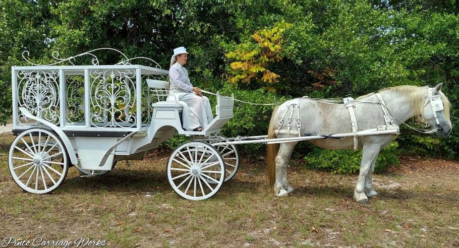 Our elegant enclosed horse hearse is available in Orange Park, FL.