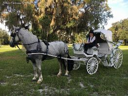 Our Victoria carriage in Cross City, FL.