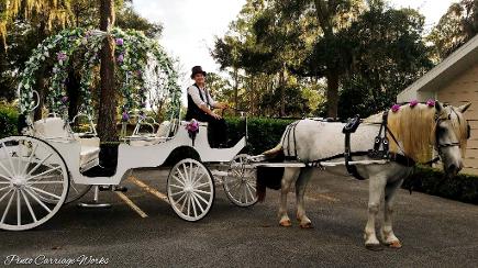 Click here to see our horse carriages.