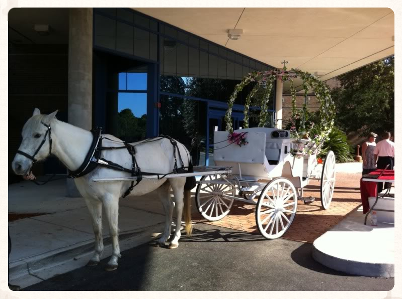 Sonic with our Cinderella carriage at a bridal show in Jacksonville, FL.
