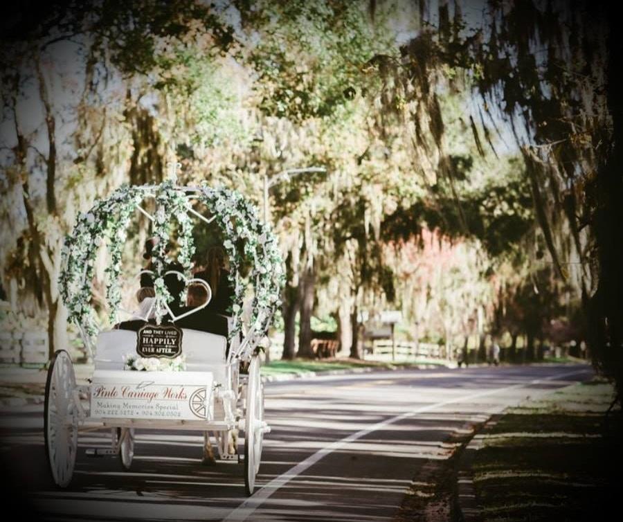 A beautiful horse carriage ride is a great way to create lasting memories. This ride was in Gainesville, Florida.