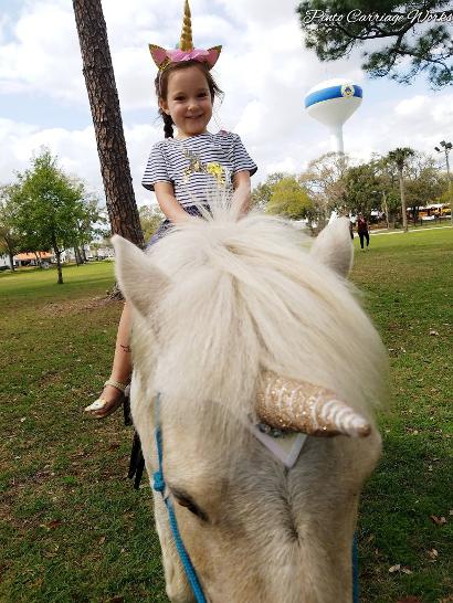 Trigger, one of our white pony doing a birthday party ride.