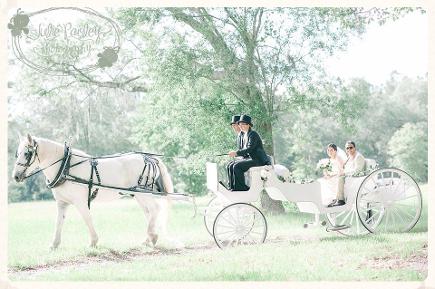 Beautiful country carriage wedding in Lake City, FL.
