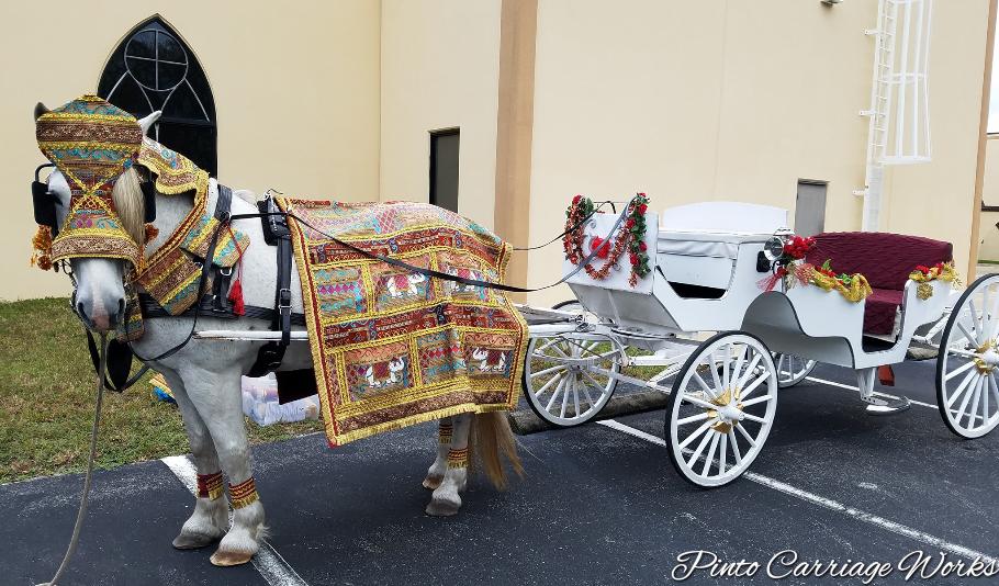 Baraat horse carriage or baghi at a baraat in Jacksonville, Florida.