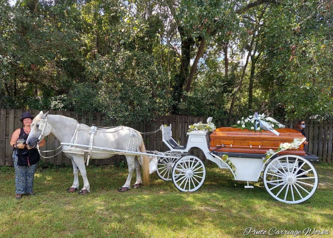 This is our funeral caisson carriage bringing a family's loved one home to rest in the cemetery in Jacksonville, FL.