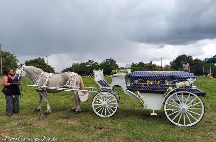 Here's our horse Joy having brought this loved one to his place of rest in the cemetery.