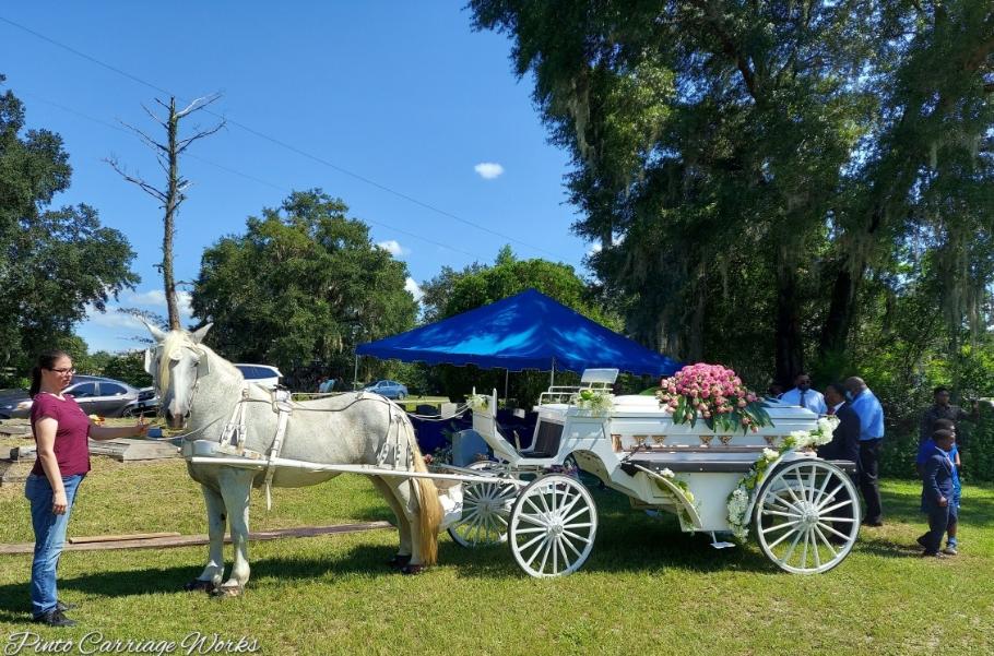 Here's our white horse-drawn hearse caisson carriage with this loved one at her place of rest in Williston, FL.