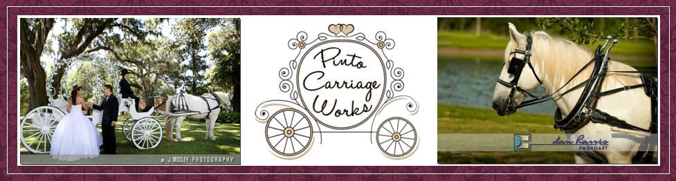 white carriage horse for weddings jacksonville and gainesville florida