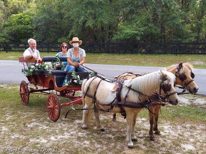 Our red wagonette doing an anniversary ride in Lake Asbury, FL.