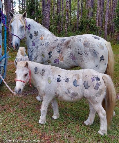 Paint the pony after pony rides in Lake Asbury, FL.
