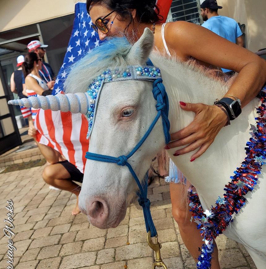 Our pony dressed up for the 4th of July as a unicorn for a photo op at a Independence Day party in Jacksonville, FL.