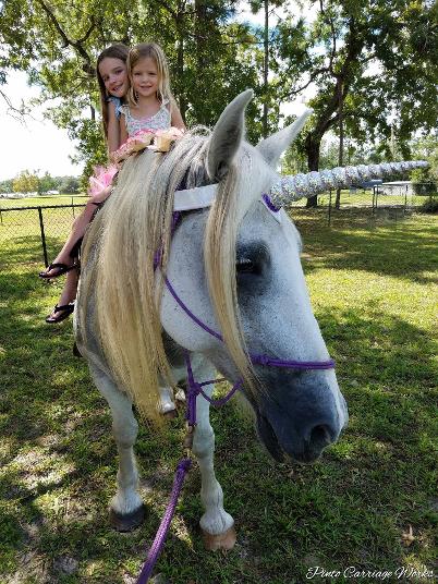 Joy is one of our beautiful unicorns here at a pony party in Melrose, Florida.