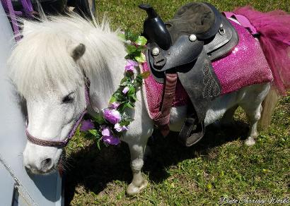 Our ponies can dress up to suit just about any theme.