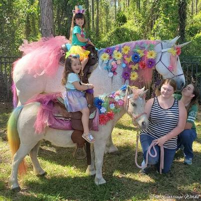 Unicorn pony rides in St. Johns, Florida for a birthday party.