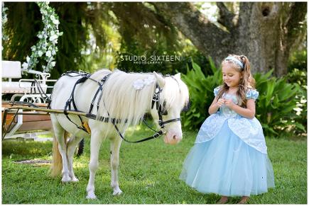 Kids Cinderella Pony Carriage available for princesses and princes' birthday parties in Middleburg, FL