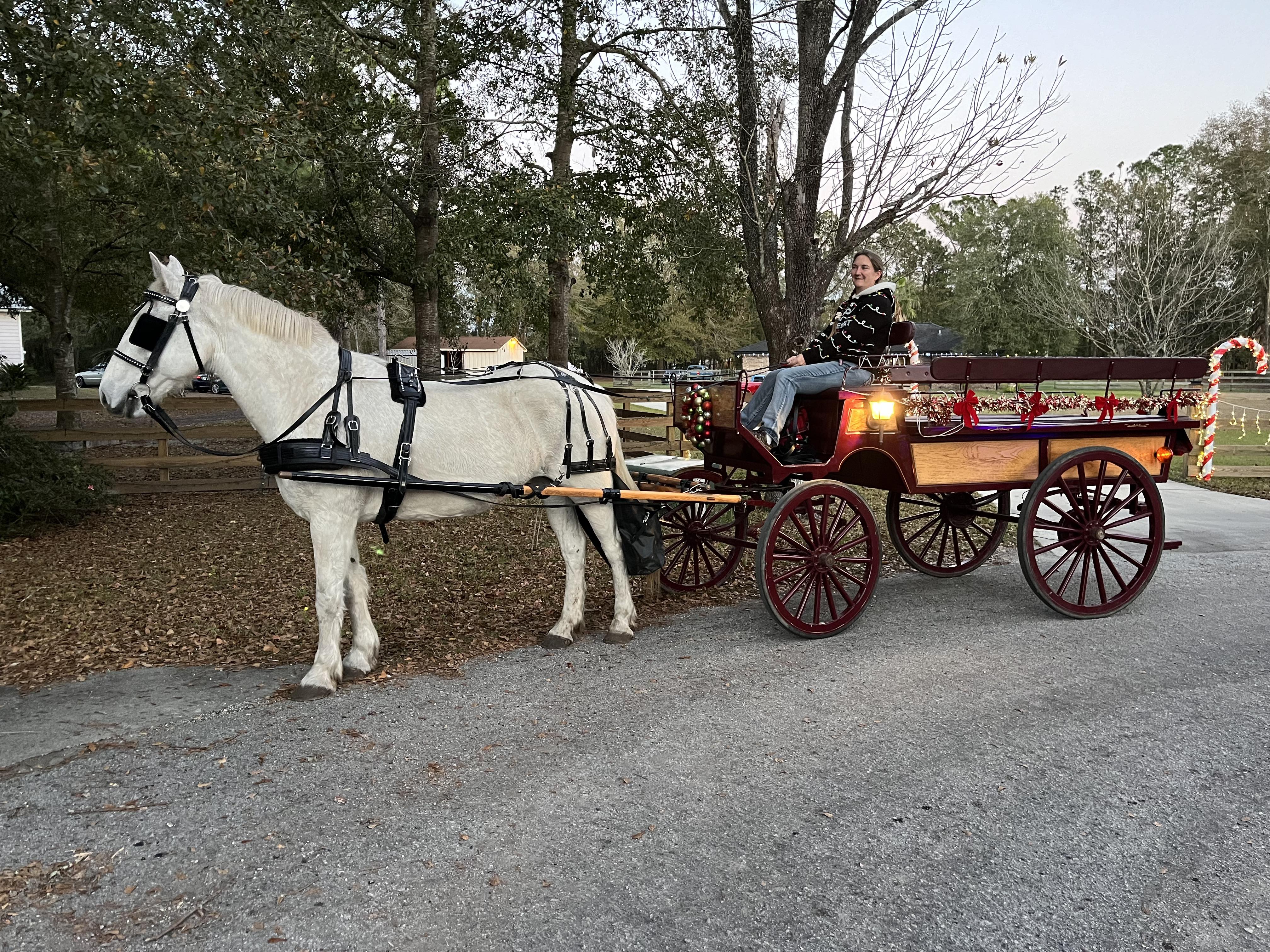 Here's Smokey giving a pony ride during a pink cowgirl party in St. Augustine, FL.