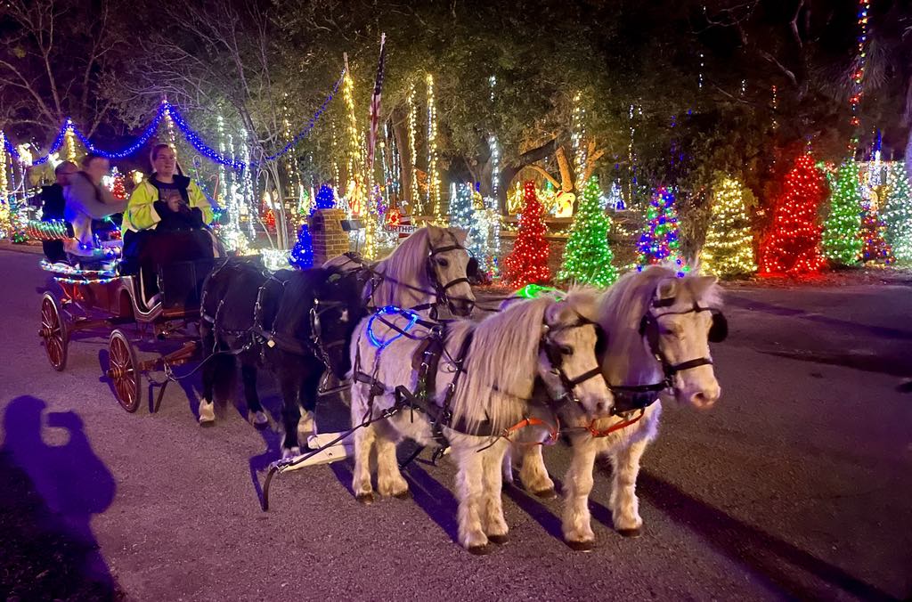 A fun cowboy and cowgirl party in Jacksonville, FL with pony rides with our horse Joy and pony Brownie.